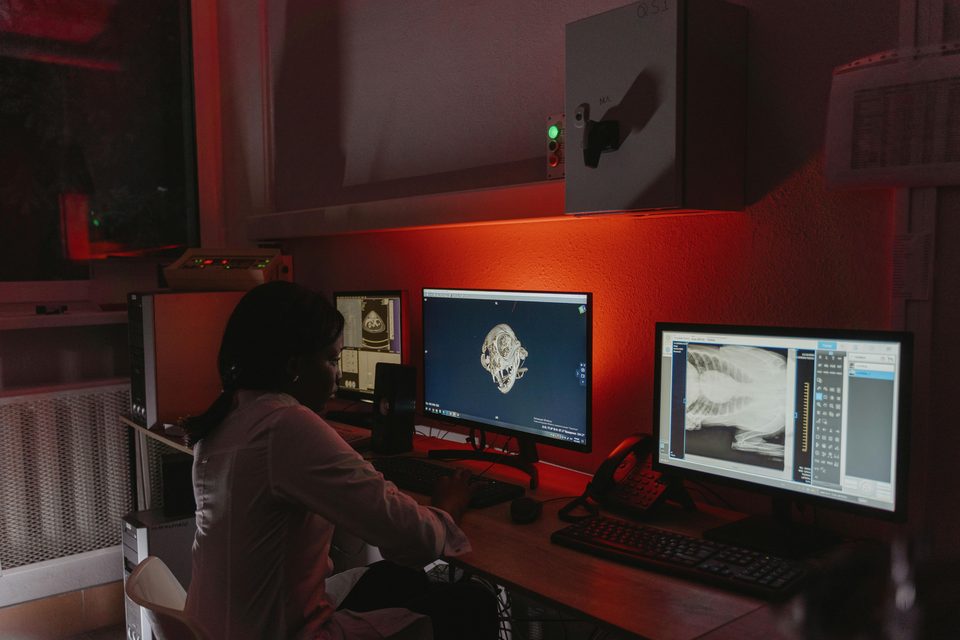 Radiologist reviewing scans on a secure reporting platform